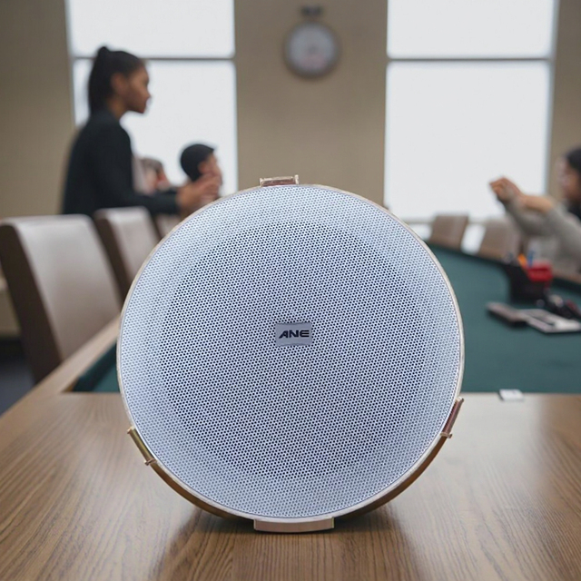 6.5 Inch 100V 10W In-Ceiling Speaker PA Commercial Background Music Ceiling Loudspeaker Hotel School Supermarket and Office