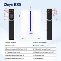Batterie au lithium polymère Deye à montage mural 51,2 V 120 Ah rechargeable IP65, pack de batteries lithium-ion Lifepo4 pour le stockage d'énergie domestique