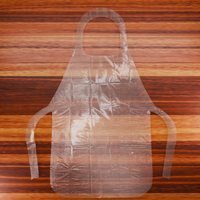 Bavoir jetable biodégradable pour adultes, résistant aux taches et aux éclaboussures, personnalisé, pour une restauration sans dégâts
