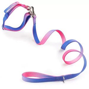 <span class=keywords><strong>Collar</strong></span> de Perro Táctico Personalizado con Degradado, Precio de Fábrica en China <span class=keywords><strong>2026</strong></span>, <span class=keywords><strong>Collar</strong></span> de Entrenamiento de Lujo con Correa Acolchada Suave para Perros - Product Image 1