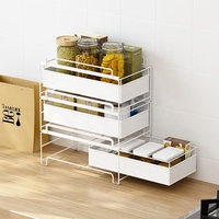 Kitchen Sink Storage Rack with Drawer
