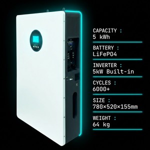 5kWh 51.2V 100Ah Wall <b>Battery</b> Domestic Energy <b>Case</b> <b>Storage</b> Pod High Yield <b>Storage</b> LiFePO4 Cell Manufacturing - Product Image 3