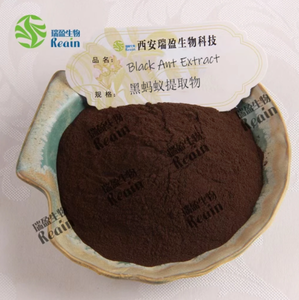 Extracto de Hormiga Negra Natural en <span class=keywords><strong>Polvo</strong></span> <span class=keywords><strong>para</strong></span> el Cuidado de la Salud Masculina - Product Image 2
