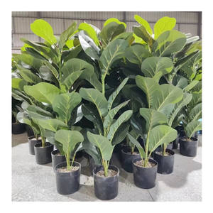 Ficus Panda-Hance plantas bonsái artificiales, decoración del hogar - Product Image 1