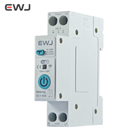 Disjoncteur Miniature EWJ 63A AC 2P avec Compteur d'Énergie Tuya Wifi, Protection Contre les Fuites et Relais de Tension 220V, Interrupteur Intelligent Smart Life MCB