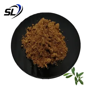 Oleuropein Powder Wholesale Bulk Natural Olive Leaf Extract Oleuropein