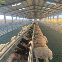Gran Proyecto Llave en Mano para Granja de Ovejas Great Frame 4000: Cercado Galvanizado para Corrales de Ovejas con Lamas de Plástico para Construcción Moderna de Naves Ovinas