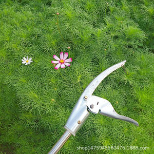 กรรไกรตัดแต่งกิ่งไม้สแตนเลส Mountain Wisteria แบบด้ามยาว 1 2 2.5 3 เมตร รูปทรงปากผีเสื้อ สำหรับตัดแต่งกิ่งสูง - Product Image 4