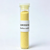 Bacillus Subtilis 100 milliards UFC/g, additif alimentaire probiotique stable extrudé à double vis, poudre fine uniforme, favorise la croissance des animaux