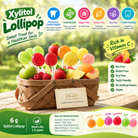 DC24 Vitamin C Fruit Flavored Lollipops B2B Wholesale / Private Label Sugar-Free & Tooth-Friendly Hard Candy