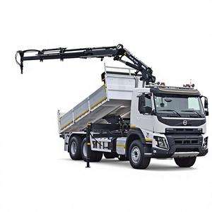 Vol-vo FMX 460 Camion Ribaltabile con Gru ATLAS 172.3E da 5,40m, 6x4 - Product Image 1