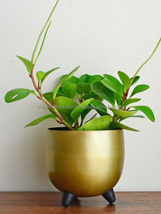 Gold Plated Planter Tabletop Minimalistic Design Ideal for Indoor and Outdoor Use Stylish Garden Flower Pots for Home Decoration - Product Image 3