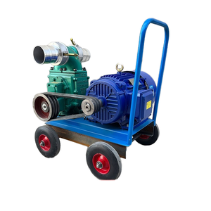 Bomba de estiércol especial antiobstrucción para granjas, tipo carrito, autocebante para alcantarillado municipal, bomba de aguas residuales sépticas, caudal 100 - Product Image 2