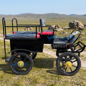 Promotion : Chariot multifonctionnel portable, direct usine, pour jardin, type chariot de transport, avec quatre roues électriques, pour parc de marathon - Product Image 1