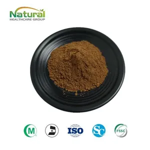 Poudre d'extrait de thé vert, polyphénols de thé 30%-98%, <span class=keywords><strong>soluble</strong></span> dans l'eau, poudre naturelle d'EGCG pour l'alimentation et les cosmétiques, approvisionnement en vrac pour les usines - Product Image 1