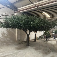 Pohon Zaitun Buatan dari Fiber Glass Desain Baru, Tahan UV, Ukuran Besar untuk Dekorasi Dalam dan Luar Ruangan (Grosir)