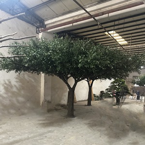 Neues Design Großhandel UV-Beständiger Künstlicher Olivenbaum aus Fiberglas in Übergröße für Innen- und Außendekoration - Product Image 1