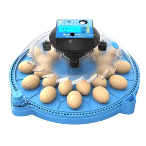 Tigarl 50 Eieren Lahore Pakistan Prijs Batterij Aangedreven Zonneverwarmer Kopen Online Couveuse Oeuf Automatique Ei Incubator Automaat