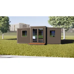Maisons préfabriquées modulaires pour l'immobilier mondial: Triple large, conteneurs mobiles, maisons en bois et options portables