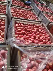 2023 Nova Colheita Fresca Maçã Vermelha Fuji Fruit Preço De Fábrica Para Venda