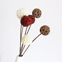 Ornements de décoration de la maison fleurs naturelles séchées fruits d'érable passepartout fleurs sèches éternelles