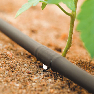 Goutteur cylindrique en ligne à raccord de douille en PE noir durable de 16 mm de diamètre pour <span class=keywords><strong>tuyau</strong></span> d'irrigation <span class=keywords><strong>goutte</strong></span> à <span class=keywords><strong>goutte</strong></span> agricole - Product Image 3