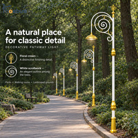 Offre à Durée Limitée : Poteau d'Éclairage Public Décoratif Extérieur Personnalisé en Acier Galvanisé pour Parc