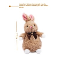 Cpc personalizado suave juguete Peter Rabbit Holding Chicks Oem/ODM muestra gratis lindo conejo juguetes de peluche personalizado