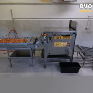 เครื่องแยกไข่ OVO-TECH RX-6  ความจุ 39,000 ฟองต่อชั่วโมง ตัวเครื่องสแตนเลส 304 เครื่องแยกไข่อัตโนมัติเต็มรูปแบบ - Product Image 5