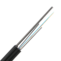 Câble de descente à fibre optique FTTH G657A2 à 2 fibres, plat, aérien, extérieur, avec messager en acier de 1,0 mm, LSZH, de fabrication usine avec 14 ans d'expérience
