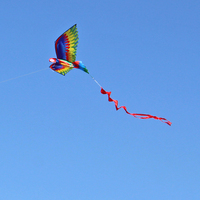 Nouveauté, cerf-volant en forme de perroquet 3D de haute qualité, 140x78cm, polyester et fibre de verre avec ligne de 30m