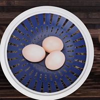 Nouveaux bols de nidification d'oiseaux en plastique PP bleu 21*5.5CM pour Pigeons cailles petits oiseaux Pigeon élevage lit d'éclosion