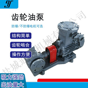 Pompe à engrenages circulaires Eboton YCB600 55L/min, pompe rotative auto-amorçante électrique pour transfert de produits chimiques, corps en fonte, acier inoxydable 304 - Product Image 5