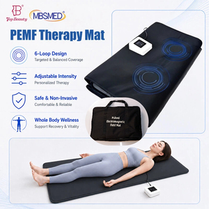 เครื่องบำบัด PEMF คุณภาพพรีเมียม ขนาดกะทัดรัด ช่วยผ่อนคลายกล้ามเนื้อ ปรับความถี่ได้ สำหรับศูนย์กายภาพบำบัด - Product Image 1