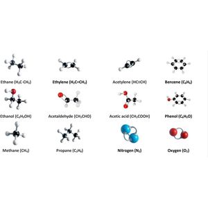 Kit di modello molecolare di chimica organica struttura organica Kit di struttura elettronica modello scienziato chimica aiuto strumento 307 pz Set - Product Image 4