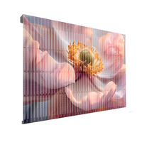 BOE 2.6/3.9/7.8mm intérieur/extérieur Transparent LED vidéo mur affichage fenêtre et écran Totem
