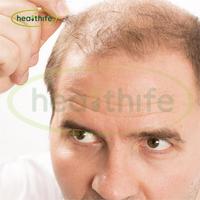Healthife alta calidad Ruscus Aculeatus extracto 10% 20% Ruscogenin polvo carniceros escoba extracto