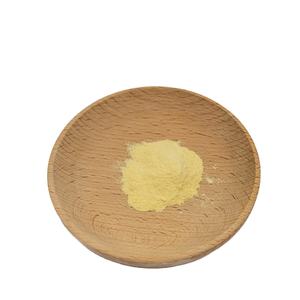 100% reiner Zingiberene Gingerol Wurzel extrakt 6-Gingerol Ingwer extrakt Pulver Gingerol - Product Image 1