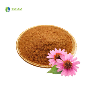 Factory Supply Food Grade Chicory Acid <strong>4</strong>% 7% <strong>Polyphenols</strong> <strong>Echinacea</strong> Purpurea <strong>Extract</strong> Powder Packaged in Bottle Can CAS 70831-56-0 - Product Image 2