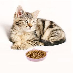 קערת אוכל ניידת נגד החלקה לחיות מחמד, מסיליקון, לחתולים וכלבים, לטיולים - Product Image 6