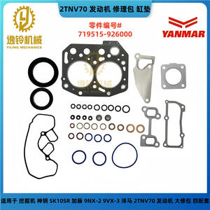 Kit de révision du moteur d'excavatrice Yiling Mechanics, jeu de joints de culasse 2TNV70 - Product Image 3