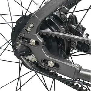 Bicicleta Eléctrica Unisex Ligera con Certificación CE ISO, Cuadro de Aluminio, Motor sin Escobillas de 250/500W, Batería de Litio de 36V, 31-60km/h, Aluminio F - Product Image 5