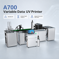 Máquina de Impresión de Inyección de Tinta UV Automática A700 para Imprimir Fecha de Caducidad, Logotipo, Código QR en Botellas, Cables, Tuberías de PVC, Codificador Industrial