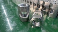 Voyant hexagonal pour extracteurs à boucle fermée 304 3/8 1/2