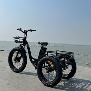 Bicicleta eléctrica de 3 ruedas, triciclo de neumáticos anchos, 24x4,0 - Product Image 2
