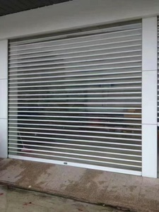<span class=keywords><strong>Recherche</strong></span> à chaud lamelles <span class=keywords><strong>de</strong></span> volet roulant porte enroulable en polycarbonate transparent commercial <span class=keywords><strong>de</strong></span> haute sécurité - Product Image 4