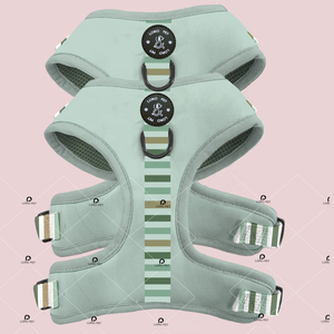 Desain Unik Kerah Anjing dan Kalung Anjing Yang Cocok Logo Karet Meliputi Tali Anjing Tali Pengikat Produsen - Product Image 6