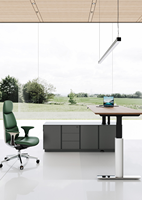 Meubles de bureau, table debout, bureau électrique à hauteur réglable, bureau de direction, bureau d'ordinateur de jeu