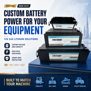 Pack de batteries personnalisé 12V 24V 48V, service OEM ODM, 6000 cycles, garantie 10 ans, prix direct usine - Product Image 2