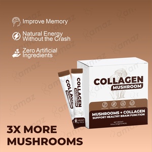Nhãn hiệu riêng Hữu Cơ nấm pha trộn Collagen Bột Sư tử của bờm <span class=keywords><strong>Ganoderma</strong></span> <span class=keywords><strong>lucidum</strong></span> protein mix uống nhà máy chiết xuất nước giải khát - Product Image 5